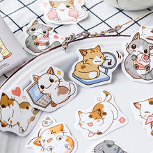 Charger l&#39;image dans la galerie, Naughty Cat Paper Stickers (Set of 45)
