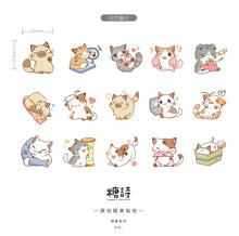 Load image into Gallery viewer, Naughty Cat Paper Stickers (Set of 45)
